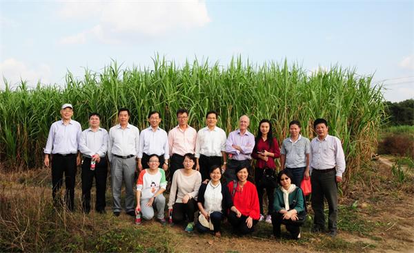 现场考察STS项目贵溪重金属修复示范基地