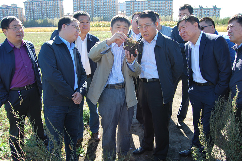 学斌,市长韩启彬等领导陪同下到海伦农业生态实验站进行实地考察调研