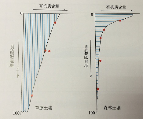 20161031130840_311.jpg