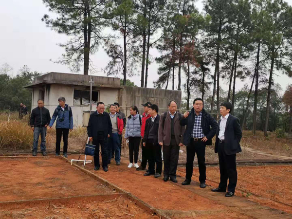 样地参观 样地参观
