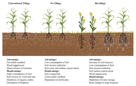 传统耕作、免耕和生物耕作的优缺点比较