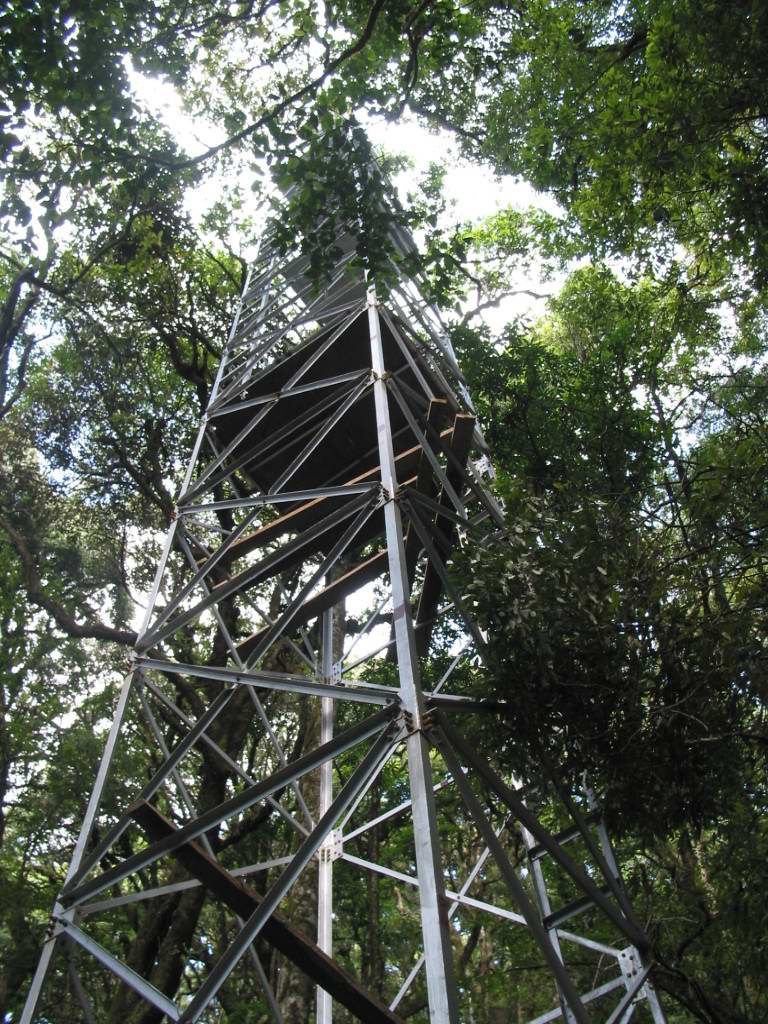 哀牢山生态站森林生态铁塔建成