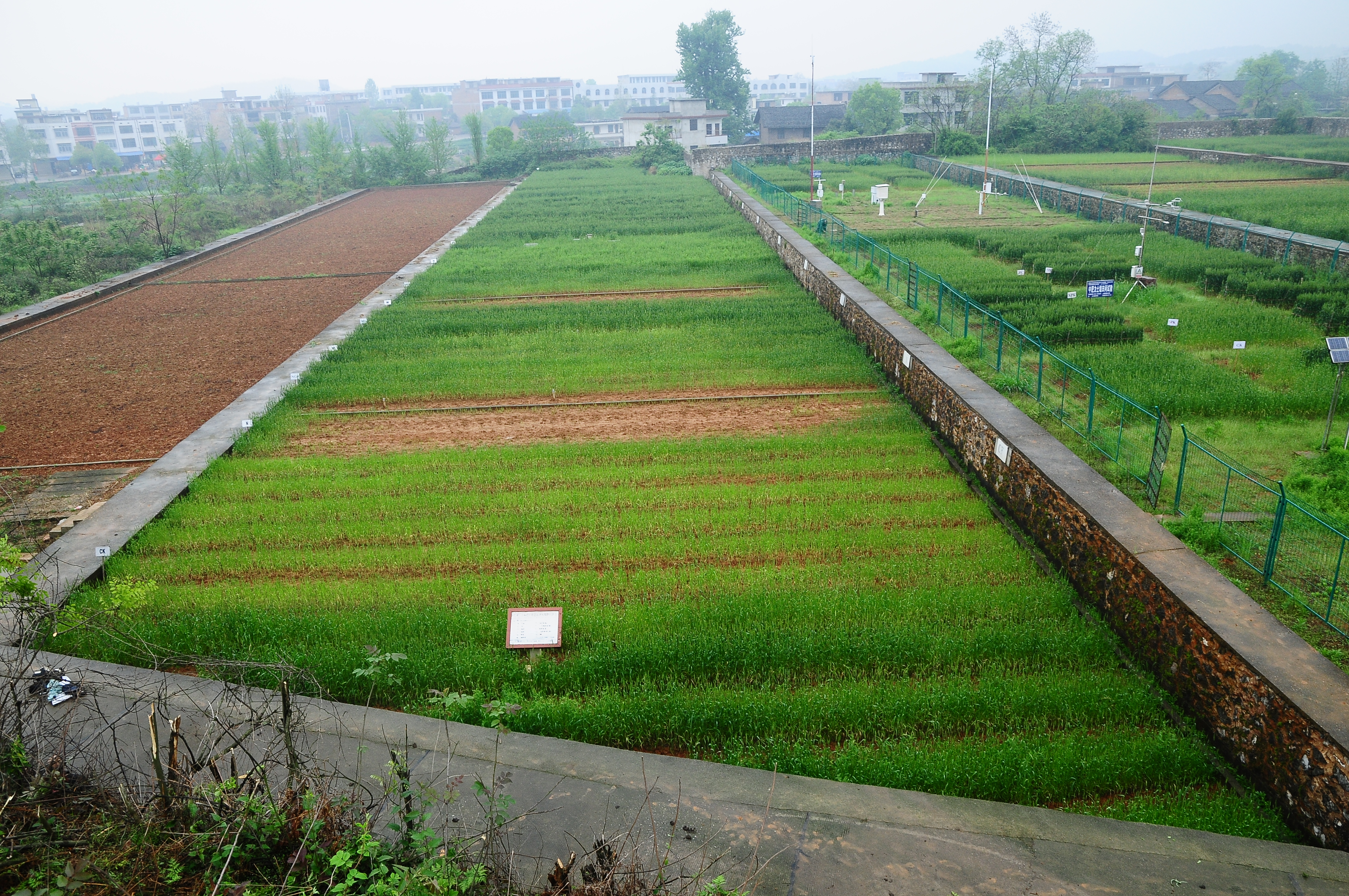 水稻育种试验-实验室与基地处