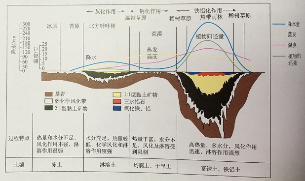 不同氣候環境下土壤風化殼的變化